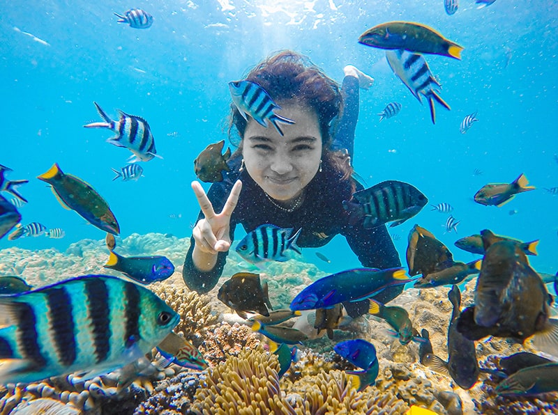 Paket Trip