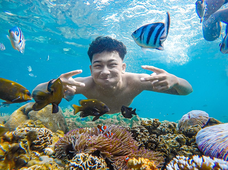 Paket Trip